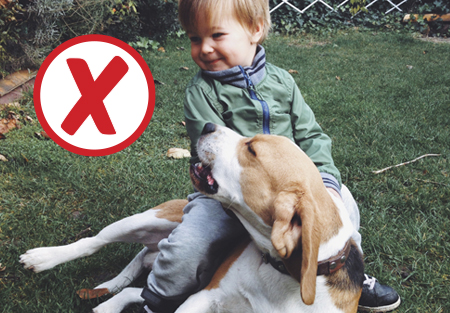 Children need to avoid climbing on the dog